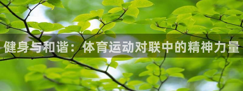 yy易游官网下载平台是正规平台吗知乎：健身与和谐：体
