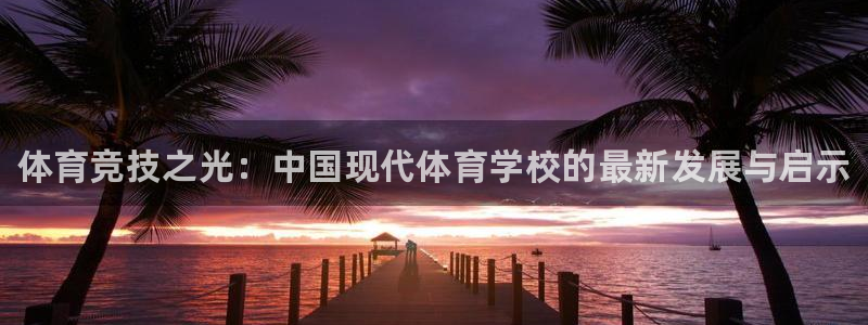 yy易游官方正版app集团简介：体育竞技之光：中国现
