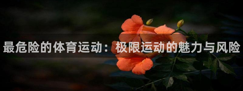 yy易游官网下载招商电话号码是多少啊