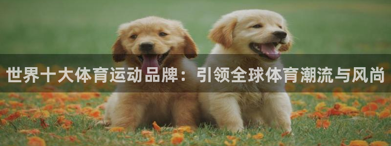 yy易游官方正版app娱乐是那个系列的台子：世界十大