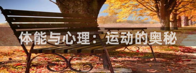 yy易游官网下载招商电话号码是多少啊：体能与心理：运