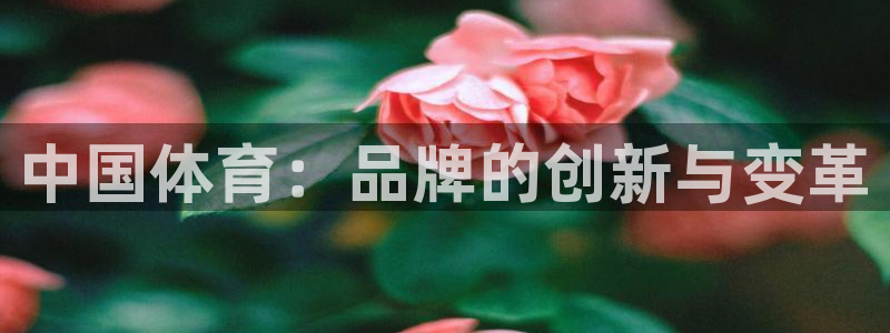 yy易游官网下载平台注册要钱吗是真的吗：中国体育：品