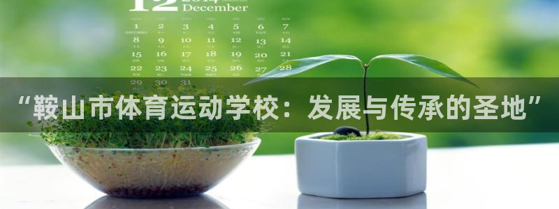yy易游官网下载招商电话号码是多少啊：“鞍山市体育运