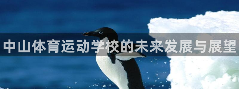 yy易游官方正版app五金厂：中山体育运动学校的未来