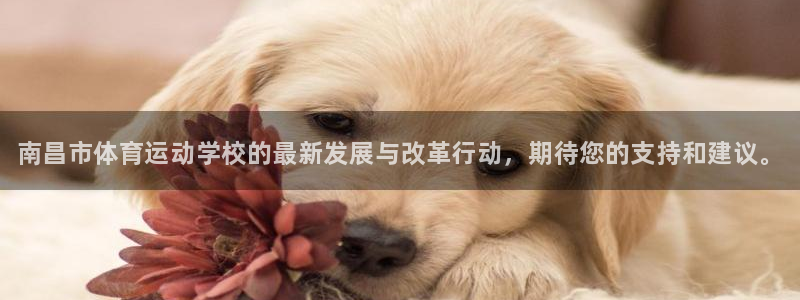 海南yy易游官网下载发展怎么样：南昌市体育运动学校的最新发展