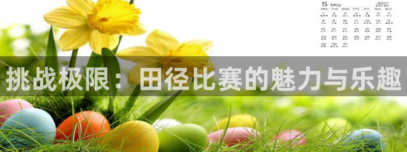 yy易游官网下载招商电话：挑战极限：田径比赛的魅力与
