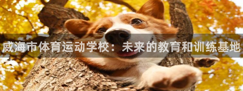 yy易游官网下载平台是正规平台吗安全吗：威海市体育运