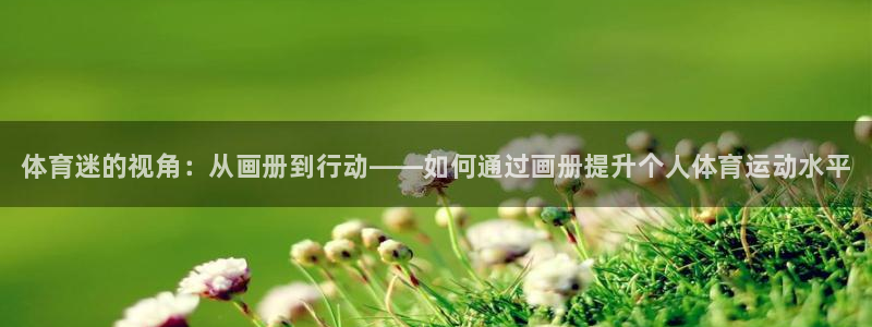 yy易游官网下载是干嘛的公司：体育迷的视角：从画册到