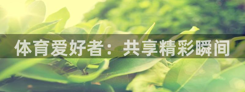 yy易游官方正版app娱乐首页网站大全：体育爱好者：