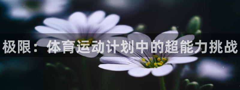 yy易游官网下载官方客服电话：极限：体育运动计划中的