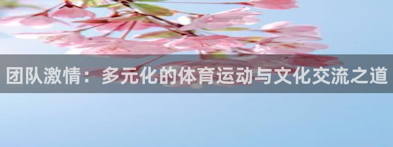 yy易游官方正版app集团logo：团队激情：多元化