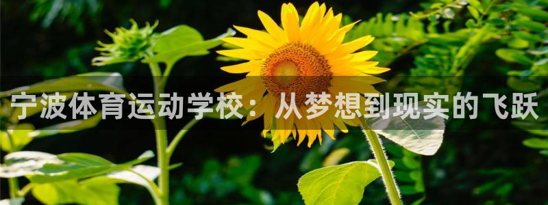 yy易游官网下载开户：宁波体育运动学校：从梦想到现实