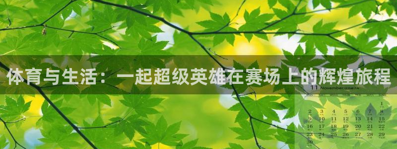 yy易游官网下载招商电话：体育与生活：一起超级英雄在