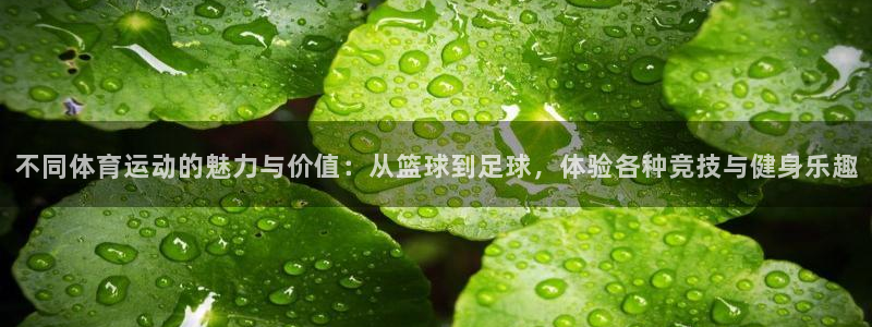 yy易游官网下载招商电话号码是多少：不同体育运动的魅