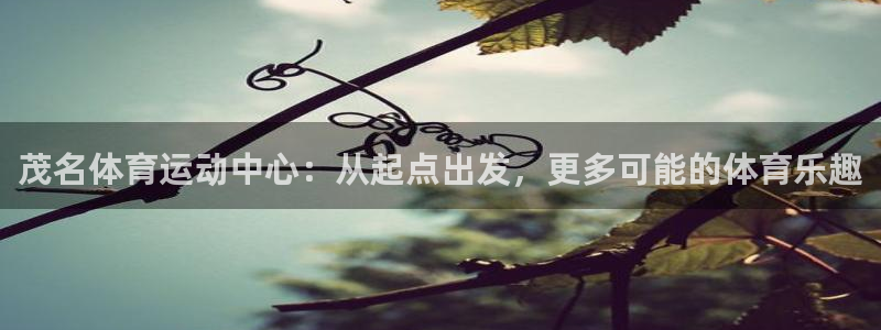 yy易游官方正版app娱乐平台：茂名体育运动中心：从