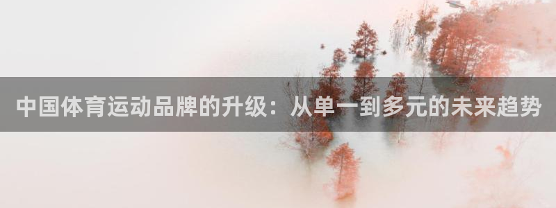 yy易游官网下载娱乐：中国体育运动品牌的升级：从单一