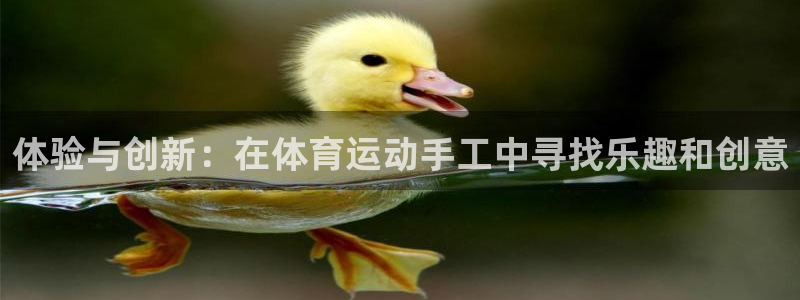 yy易游官方正版app集团简介：体验与创新：在体育运