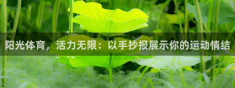 海南yy易游官网下载发展怎么样：阳光体育，活力无限：