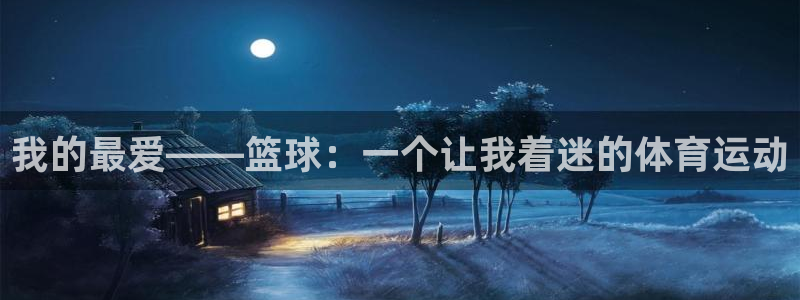 yy易游官网下载招商电话是多少号码：我的最爱——篮球