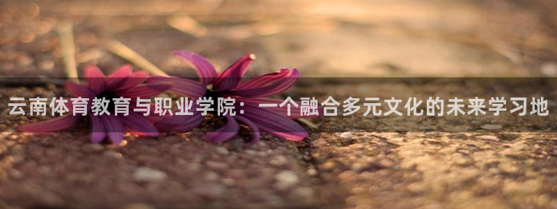 yy易游官方正版app娱乐代理怎么样