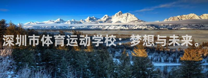 yy易游官网下载招商电话号码是多少号：深圳市体育运动学校：梦