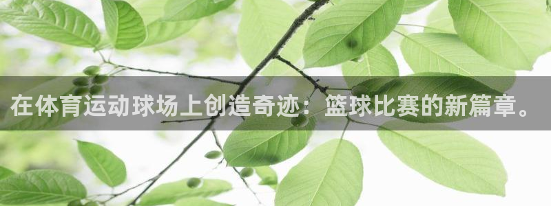 yy易游体育是正规的吗安全吗可靠吗