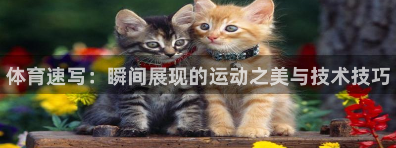 yy易游体育米乐