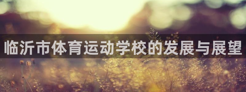 yy易游体育是什么：临沂市体育运动学