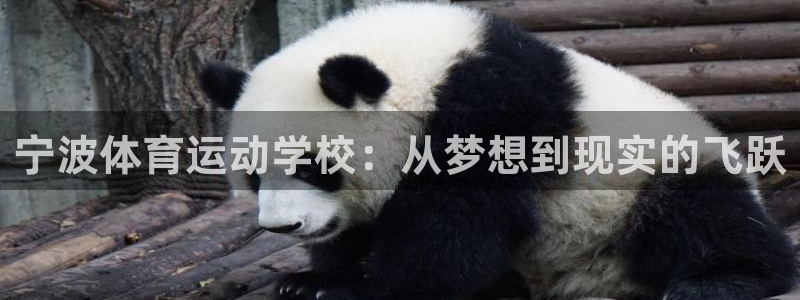 yy易游体育电竞登录不上去怎么办：宁