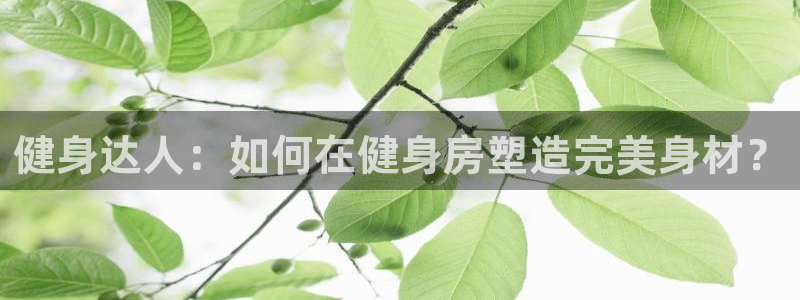 yy易游体育是什么：健身达人：如何在