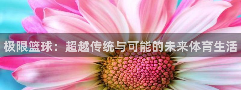 yy易游体育平台：极限篮球：超越传统与可能的未来体育生活