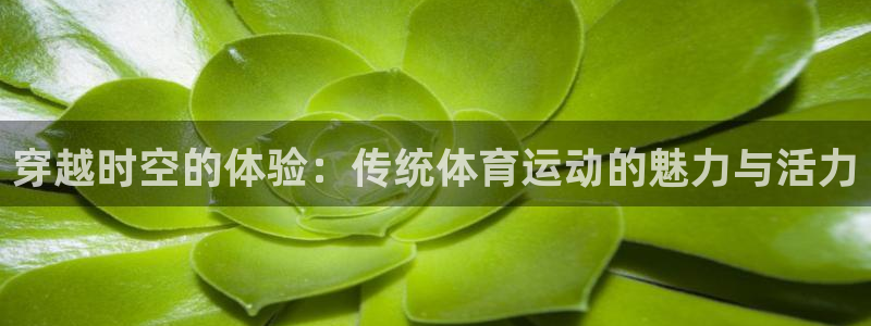 yy易游体育app最新版本更新内容是