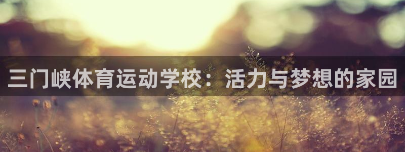 yy易游体育怎么样：三门峡体育运动学校：活力与梦想的家园