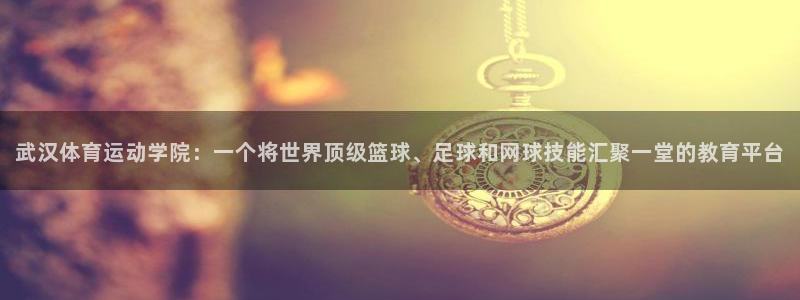 yy易游体育电竞：武汉体育运动学院：一个将世界顶级篮球、足球