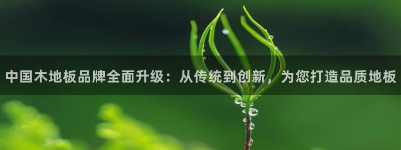 yy易游体育电竞：中国木地板品牌全面