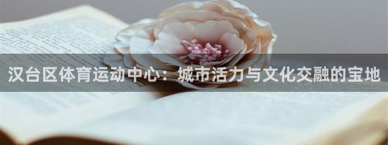 yy易游体育平台能提现吗安全吗：汉台