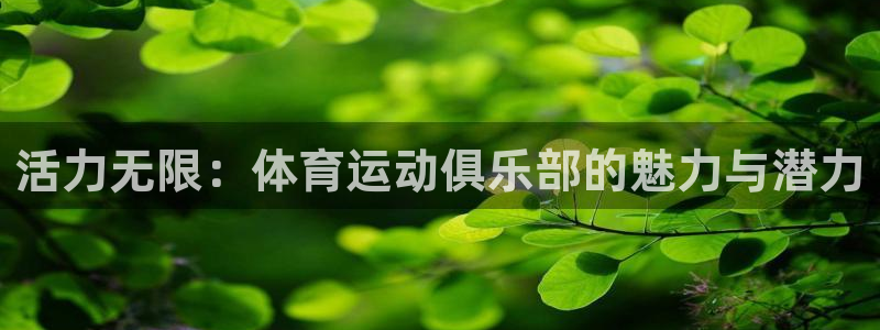 yy易游体育是什么：活力无限：体育运动俱乐部的魅力与潜力