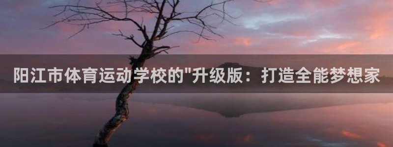  yy易游体育电竞怎么样：阳江市体育运动学校的\