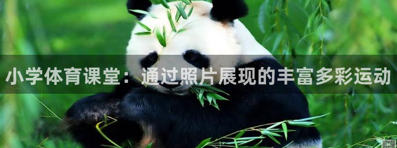  yy易游体育怎么样知乎：小学体育课堂：通过照片展现的丰富多彩