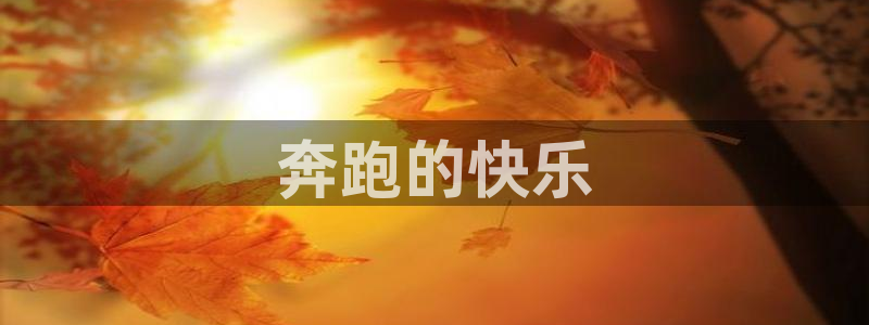 yy易游体育平台