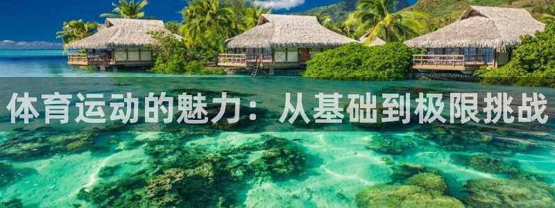 yy易游官网下载平台假的吗是真的吗吗:体育运动的魅力:从基础