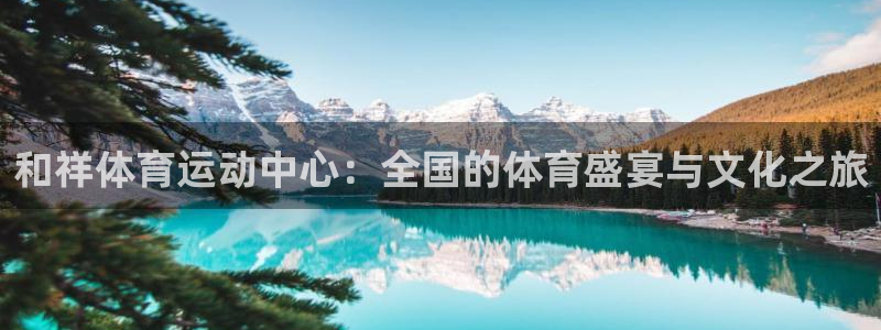 注册yy易游官方正版app:和祥体育运动中心:全国的体育盛宴